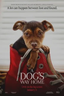 A Dogs Way Home 2019
