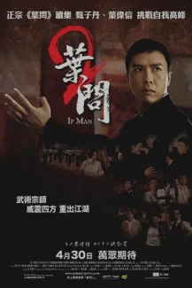 Ip Man 2 2010
