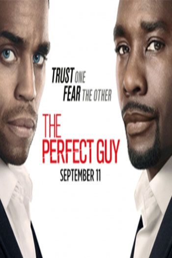 The Perfect Guy 2015