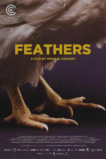 Feathers 2021