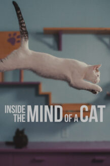 Inside the Mind of a Cat 2022
