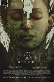 The Book of Vision 2021