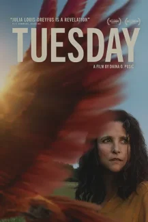 Tuesday 2023