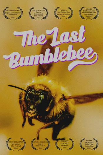 The Last Bumblebee 2024