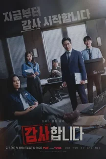 The Auditors