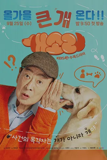 Dog Knows Everything