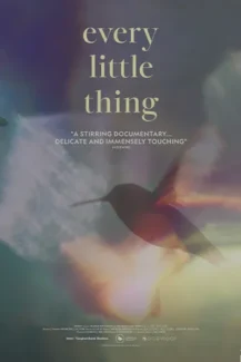Every Little Thing 2024