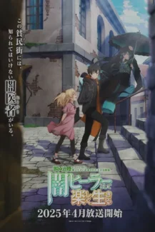 The Brilliant Healers New Life in the Shadows