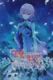 The Too-Perfect Saint
